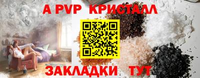 шишки Новодвинск