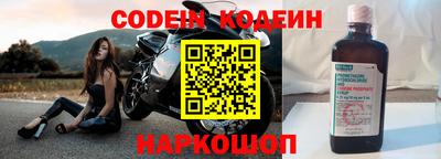 шишки Новодвинск