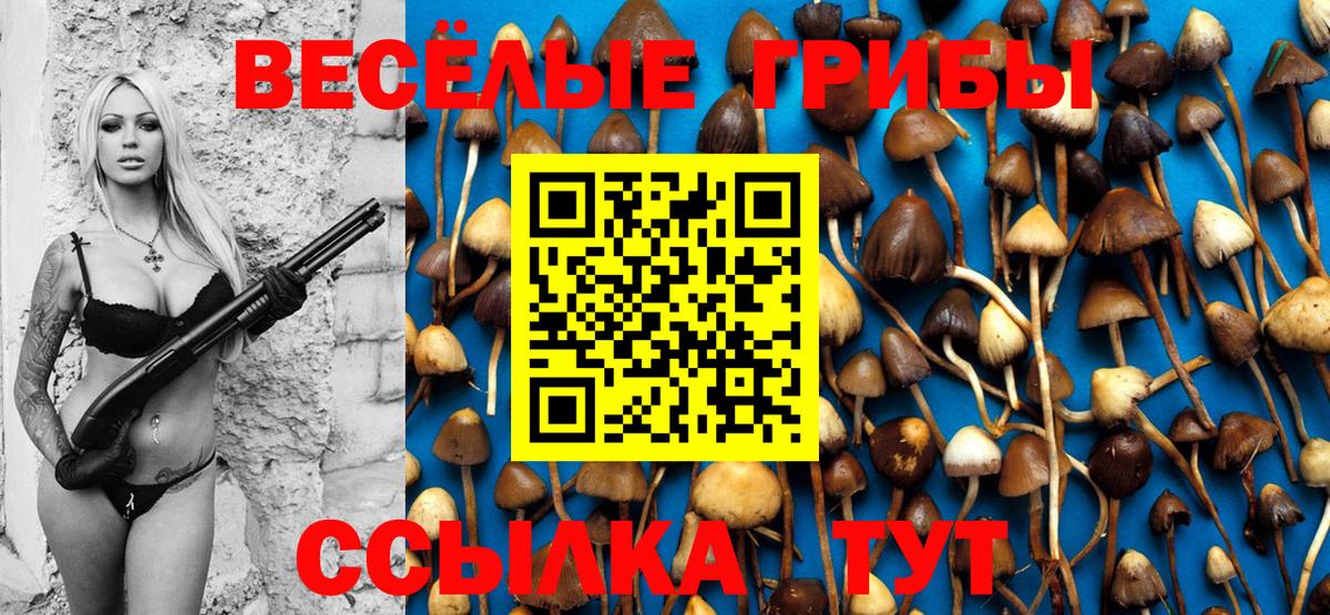 Анжеро-Судженск  Галлюциногенные грибы мухоморы  Вход с VPN  Галлюциногенные грибы мицелий 