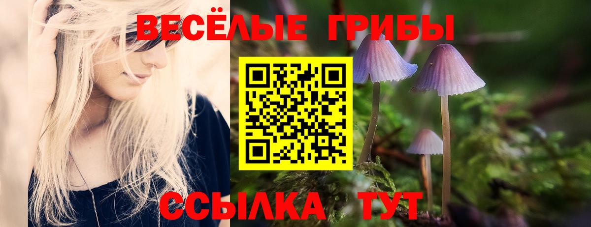 Галлюциногенные грибы Cubensis Анжеро-Судженск